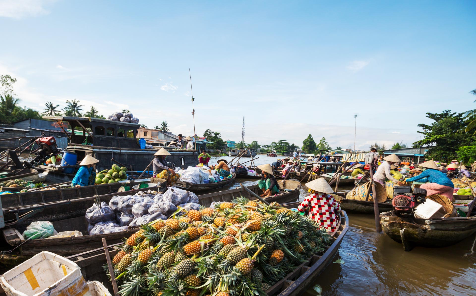 /fm/Files//Pictures/Ido Uploads(1)/Asia/Vietnam/Mekong Delta/Mekong Delta - Floating Market Pineapples Boat Store - NS - SS.jpg